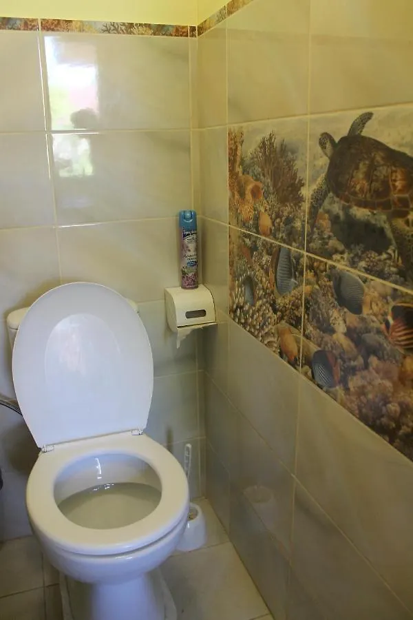 Hostel Teremok Kijev 0*,